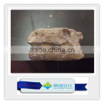 Original size dinosaur fossils for sale artificial fossils