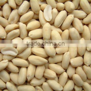 Blanched Peanut 29/33