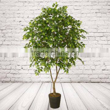 5 Feet Artificial Ficus Tree Plastic Tree For Restaurant Decoration photo-3