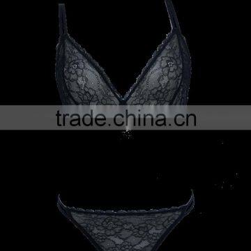 Sexy Transparent Lace Lingerie Bra Set for Sexy Ladies (CSW6016)