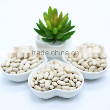 White Kidney Beans (Navy Type) photo-4
