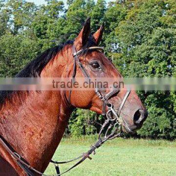 Horse racing pattern cloth painting