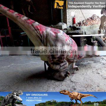 MY Dino-C086 High Quality Dinosaur Mascot Costume Made in China photo-6