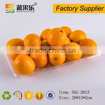 Cheap clear disposable PET plastic food fruit packaging tray
