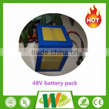 OEM battery 48v 1000w electric bike battery