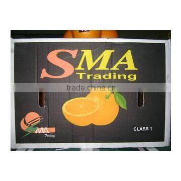 Sma Trading For Import And Export And Commercial Agencies