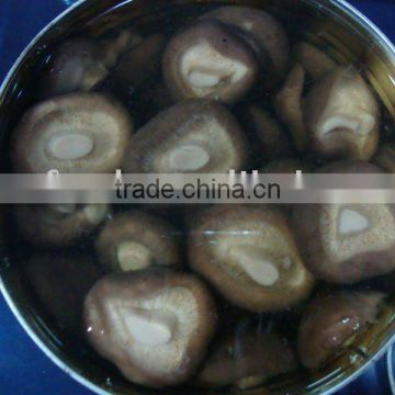 Supply Canned shiitake whole