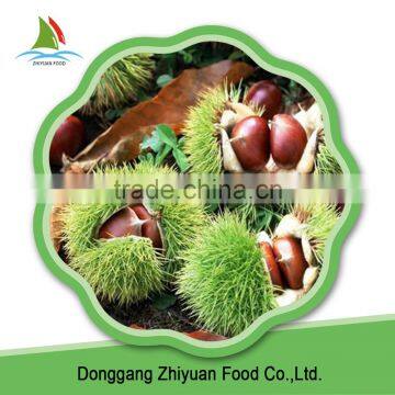 2016 Chinese Nuts Best Sale Wholesale Common Frozen Chestnut photo-6