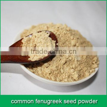 common fenugreek seed powder