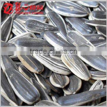 Bulk Hybrid Sunflower Seeds on the Cheap