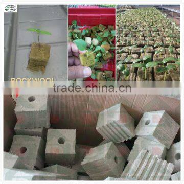 High quality factory price Rockwool Cubes for sale