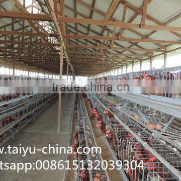 Chicken Cage 120 Birds 3 Tier or 256 Birds Chicken Cage Hot Sale in Zimbia
