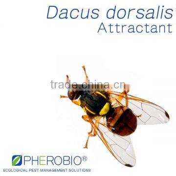 Fruit Fly Dacus dorsalis (Oriental Fruit Fly) Lure/Attractant, Methyl Eugenol