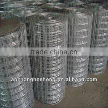 Galvanized Square Wire Mesh 4x4(Factory)