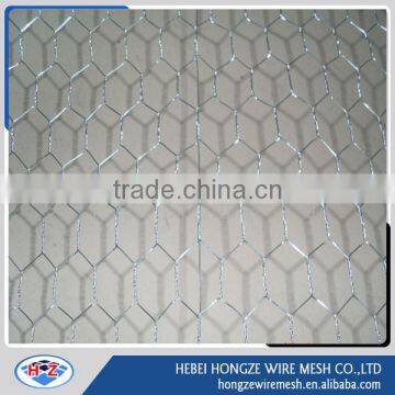 hexagonal wire mesh / pvc coated galvanized hexagonal wire mesh / square chicken mesh