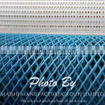 Plastic Diamond Mesh photo-5