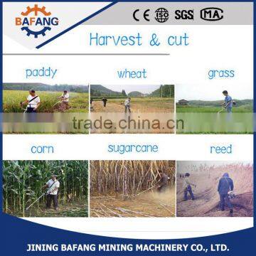 2 Stroke Side Hanging Petrol Brush Cutter/ Grass Trimmer photo-4