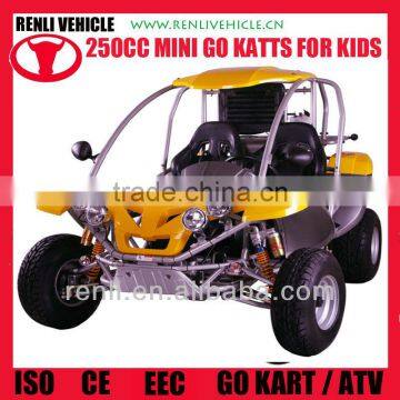 RENLI 250cc adult pedal go kart