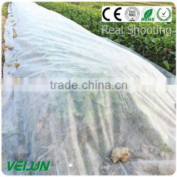 polypropylene woven fabric 100% PP Nonwoven Fabric fruit bag