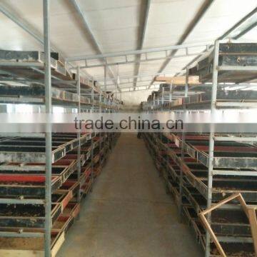 Shan County Animal Feed Dried Mealworms photo-2