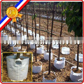 500gsm non woven planting tree grow bag