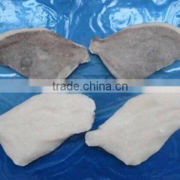 Frozen Moonfish Fillets photo-2