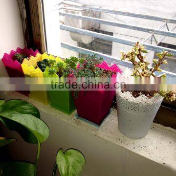 Hexagon Plastic Flower Pot Series photo-6