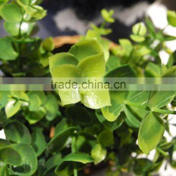 China Best Sell Wholesale Artificial Plant for Indoor Decoration photo-2