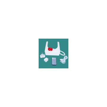 Magnetic tablet PC security display holder