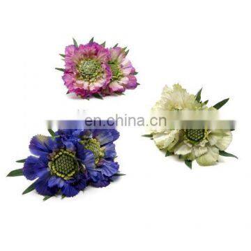 DOUBLE SCABIOSA NAPKIN RING