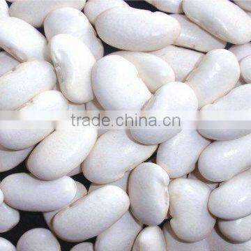 Large white kidney beans