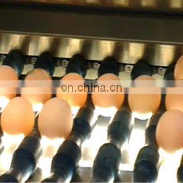 Professional Commercial Duck Egg Cleaning Machine For-egg photo-4