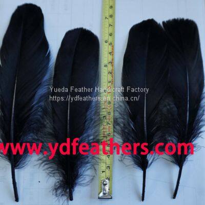 Goose Nageorie Feather Dyed Black for Wholesale