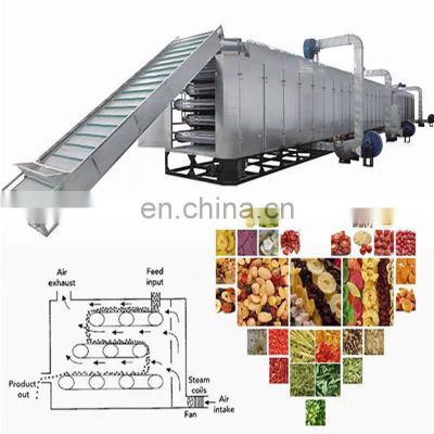 Mesh-Belt continuous Drying machine for Dehydrated vegetables and mango dryer