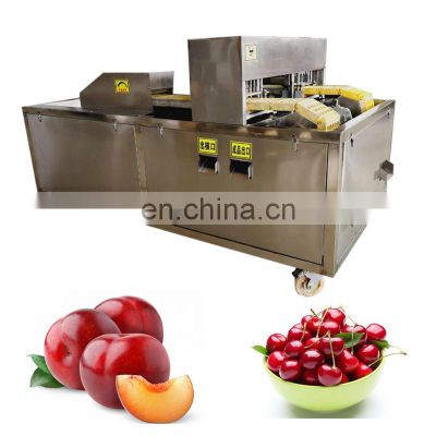 Apple Coring Machine Apple Nucleation Machine