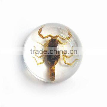 Promotional Gifts Clear Semicircle Crystal Desktop Ornament photo-2