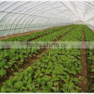 Anti insect net for greenhouse