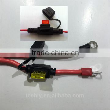 Custom Mini Fuse and Different Fuse Molding Cable Harness Assembly