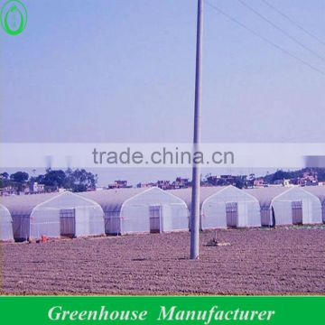 New Tunnel greenhouse