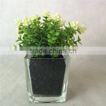 mini Decorative artificial plant bonsai with glass pot