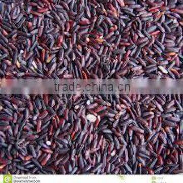 black rice