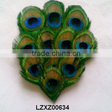 peacock feather tails pad LZXZ00634