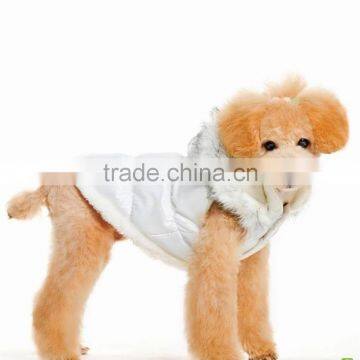 dog pet clothes