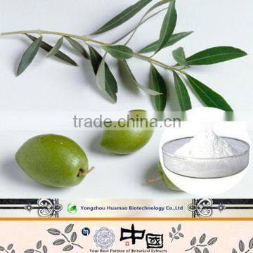 2016 new products free sample natural organic HPLC 98% Oleanolic Acid