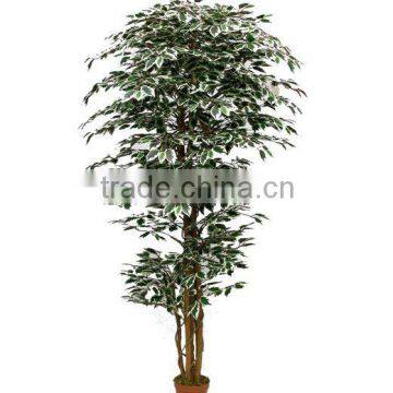 Artificial Ficus Trees