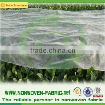 UV resistant breathable agriculture use pp non-woven fabric ground cover fabric