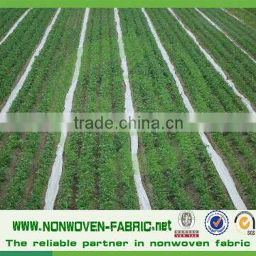Agriculture Non-toxic Waterproof Pp Nonwoven Fabric for Heat photo-2