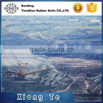 Ep200 Oil-Resistant Conveyor Belt / Rubber Belt photo-4