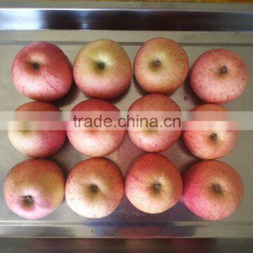 Famous Apples photo-3