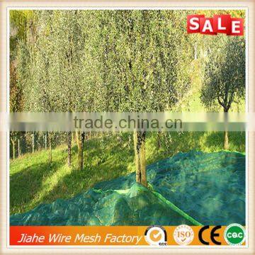 green net for olive harvesting